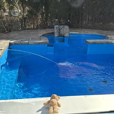 House With Pool & Dream Garden Apartment *